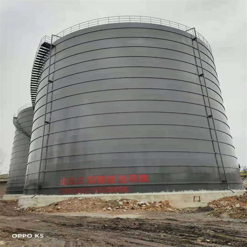 东兴3万吨大型钢板库