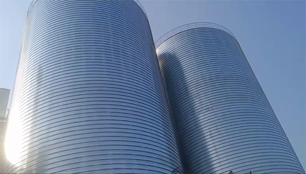 东兴2座混凝土高架卷板仓